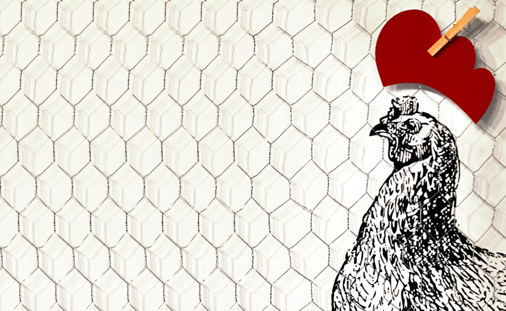 Daddy Poule identite-slide-4